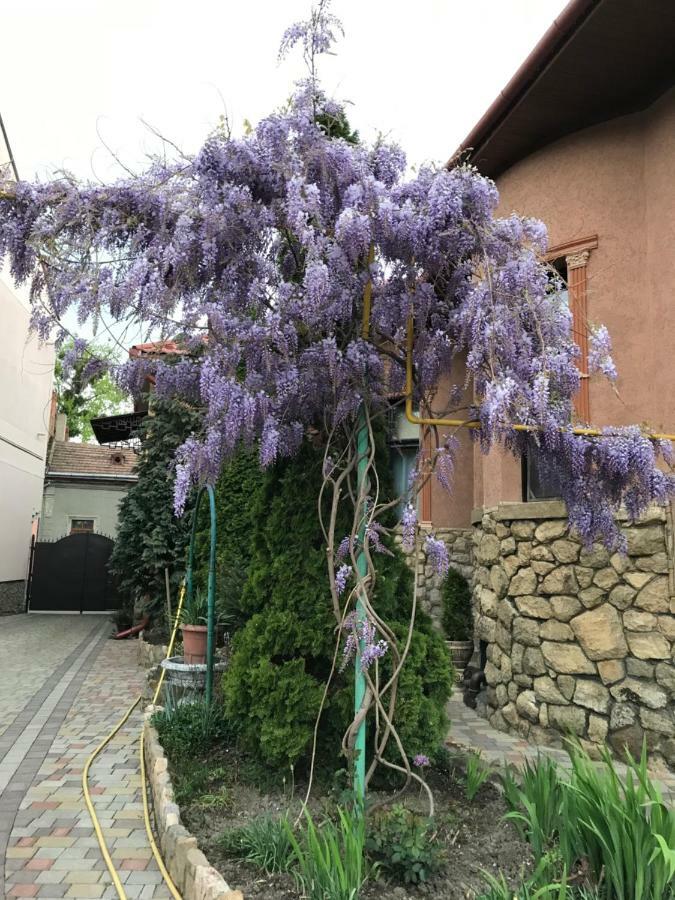 Guest House Zhanna 베레호베 외부 사진