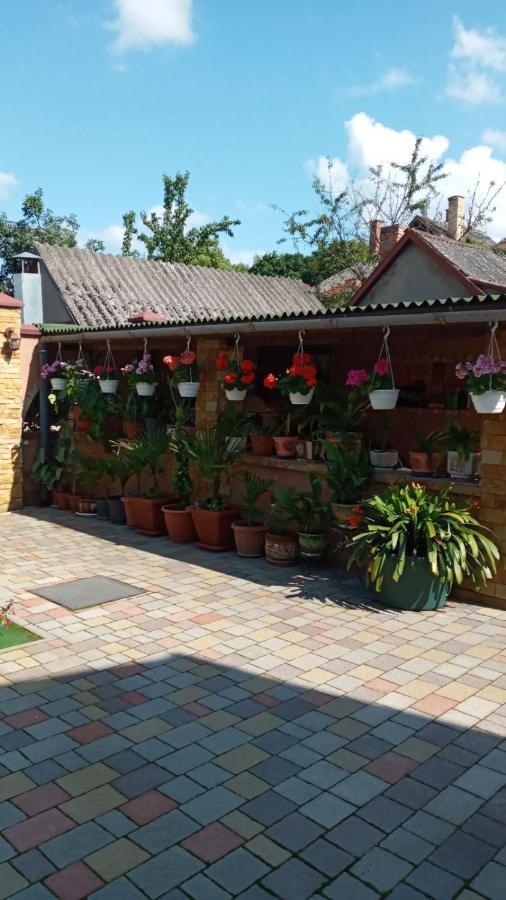 Guest House Zhanna 베레호베 외부 사진