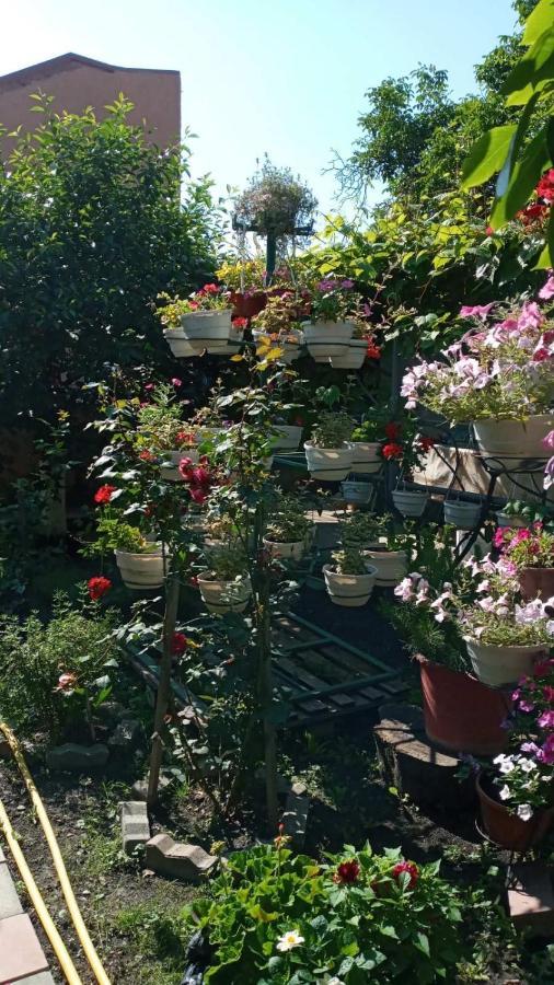 Guest House Zhanna 베레호베 외부 사진